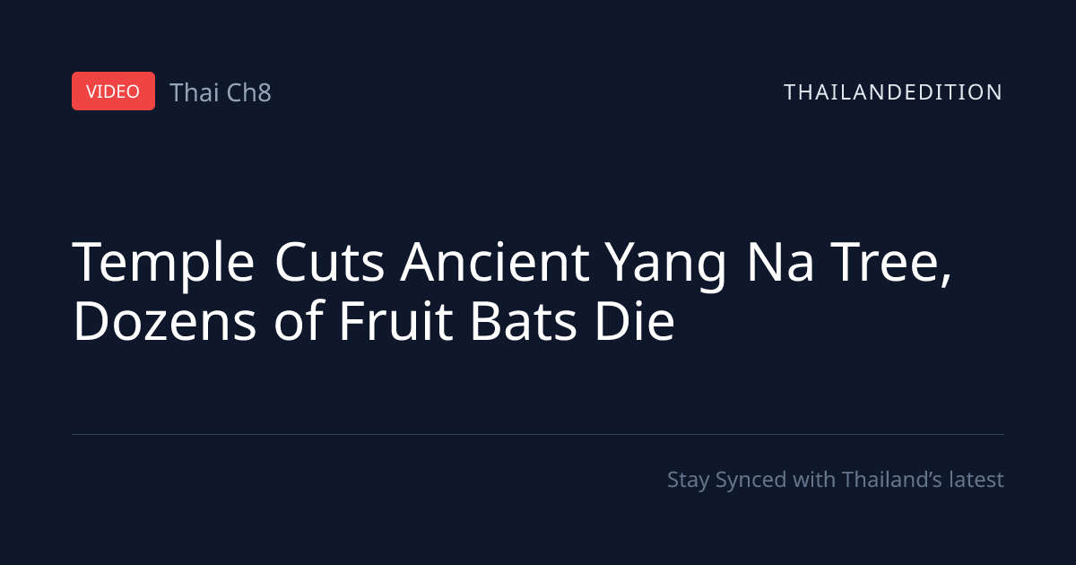 Temple Cuts Ancient Yang Na Tree, Dozens of Fruit | thailandedition
